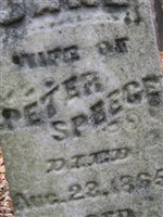 Jane Speece Jane Speece