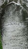 Jane Turner Darnall Jane Turner Darnall