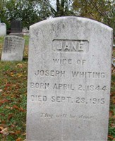 Jane Whiting Jane Whiting