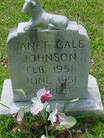 Janet Gale Johnson