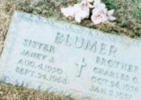 Janet J. Blumer Janet J. Blumer