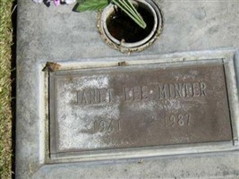 Janet Lee Minter