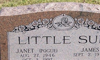 Janet Pogue Little Sun Janet Pogue Little Sun