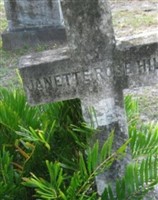 Janette Rose Hill