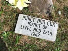 Janice Ann Cox