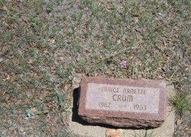 Janice Arnette Crum