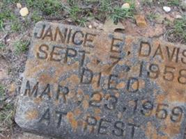 Janice E. Davis