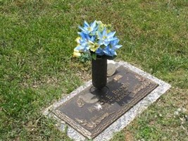 Janice Elaine Brown Janice Elaine Brown