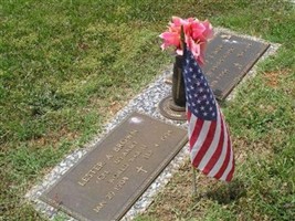 Janice Elaine Brown Janice Elaine Brown