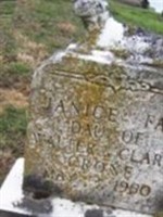 Janice Fay Crone