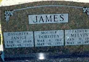 Janice James