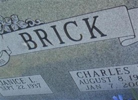 Janice L Brick