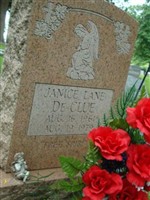 Janice Lane DeClue Janice Lane DeClue