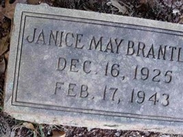 Janice May Elizabeth Brantley Janice May Elizabeth Brantley