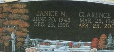 Janice N Ferguson Williams Janice N Ferguson Williams