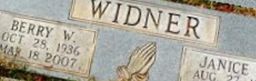 Janice N. Widner Janice N. Widner