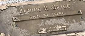 Janice P. Grigg Janice P. Grigg