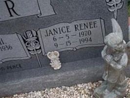 Janice Renee Boyer Janice Renee Boyer