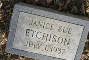 Janice Sue Etchison (2305596.jpg)