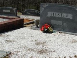 Janice Sue Grimes Hester