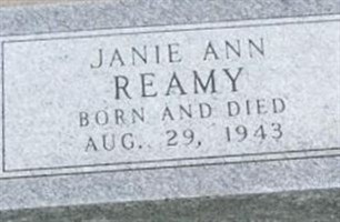 Janie Ann Reamy Janie Ann Reamy