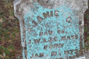 Janie C Mays