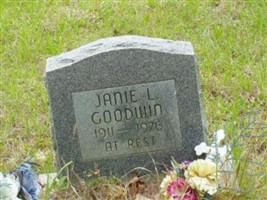 Janie Lawson Goodwin