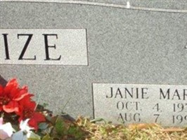 Janie Marie Townsend Mize