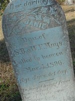Janie Mays