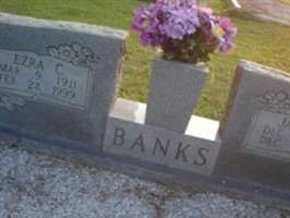 Janie P Banks