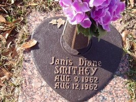 Janis Diane Smithey