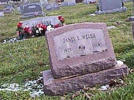 Janis E. Welsh