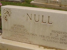 Janis Elaine Null Janis Elaine Null