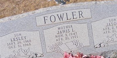Janis Lee Fowler
