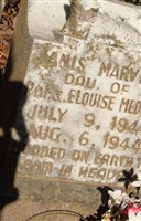 Janis Marvinne Medley