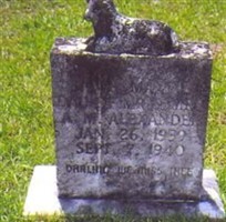 Janis Maxine Alexander
