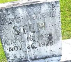 Janis Morene Stem Janis Morene Stem