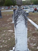 Jannie D. Williams