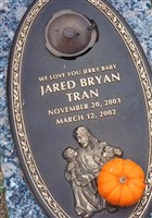 Jared Bryan Tran Jared Bryan Tran