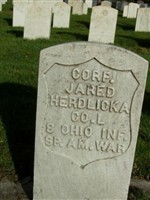 Jared Herdlicka