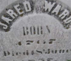 Jared Ward