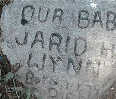 Jarid H Wynn