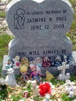 Jasmine N. Paul