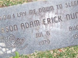 Jason Adam Erick Nunez Jason Adam Erick Nunez
