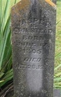 Jasper Henry Grinstead