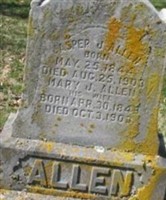 Jasper J Allen