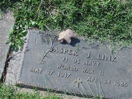 Jasper J. Link
