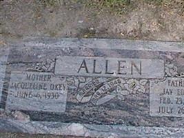 Jay Edwin Allen