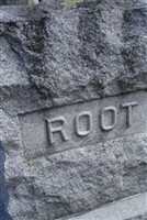 Jay Root