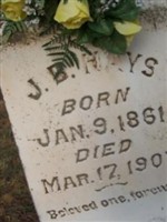J B Hays